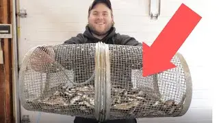 Can Fish ESCAPE a Minnow Trap? (GoPro in Fish Trap!)