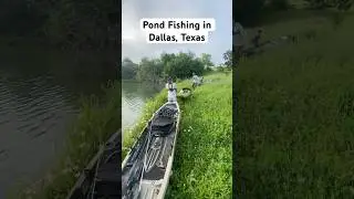 Fishing a pond off i30 in Dallas! #bassfishing #dallastexas #kayakfishing #fishing #bass