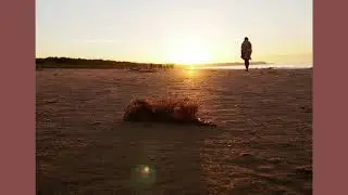 Ecepta - Regret