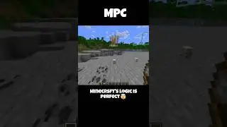 Trying to break turtle eggs?😯😶&zwj;🌫️|| Wait for the end!😶&zwj;🌫️ || Minecraft Logic Is Perfect 🤓☝️|| Like👍