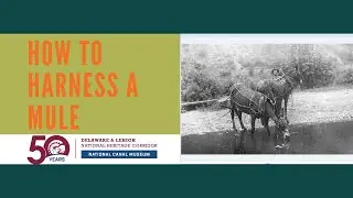 How to Harness a Mule: Freemansburg Canal Education Center and National Canal Museum