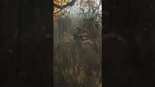 S.T.A.L.K.E.R. Путь Судьбы (alfa build 0012) testing cut scene