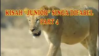 JUNIOR SINGA DIFABEL &ndash; THE LAST JOURNEY &ndash; PART 4