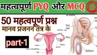 50 महत्वपूर्ण प्रश्न// मानव प्रजनन तंत्र//human reproductive system/#science