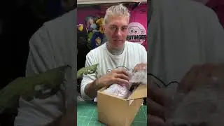 Unboxing Jason Freeny Art!!!