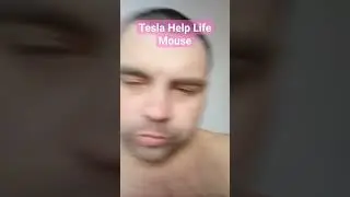 Tesla Help Life for Mouse #tesla #больной #зима #снег #лайфхак #аксель