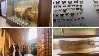 AAJ GAYE FRI MUSEUM | BIGGEST TIGER IN FRI