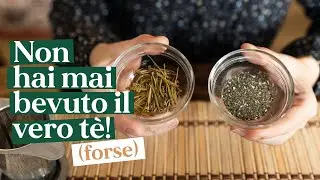 Non hai mai bevuto il vero tè (forse)