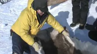 Arctic Ocean Expedition Part.1-A