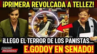 MEMORABLE &iexcl;FISCAL ERNESTINA GODOY DA REVOLCADA A LA PANISTA GRITONA VENDE PATRIAS LILLY TELLEZ!