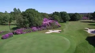 The Dorset Golf Resort - Woodland Spotlight 2020