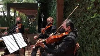 M&uacute;sica para eventos en Morelos y Ciudad de M&eacute;xico. 