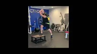 Cable & Strap Triple Extension Step Up to Box