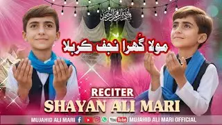 Moula Ghura Najaf Karbala Sindhi Qasida 2026 Shayan Ali Mari Qasida Manqabat