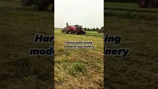#agriculturalmachinery #grassdelivery #uae #my #businessinuae