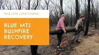Blue Mountains Bushfire Cleanup - Wollemi Wilderness Love Cabins
