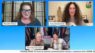 Free Animal Communication Sessions | Back In The Closet