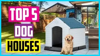 ✅ Top 5 Best Dog Houses In 2024
