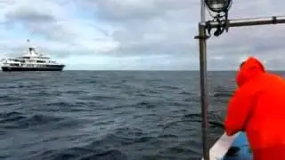 The Queen passing by with her escort