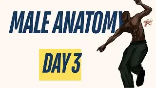 Male Anatomy Drawing Practice | Day 3 (7-Day Challenge)
