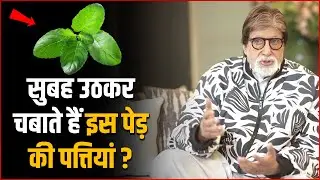 Amitabh Bachchan Diet : Amitabh Bachchan Every Morning And Chews The Leaves Of This Tree 🌿