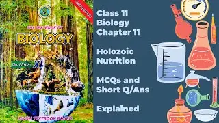 Class 11 Biology New Book | Chapter 11 MCQs and Short Question Answers Explained