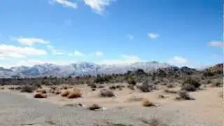 joshua tree winter 2011