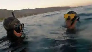 spearfishing adventure on Oahus westside