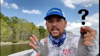 The Bed Fishing Bait Alternative | Tips and Tricks I #sightfishing #spawing bass #bed fishing