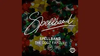 Dogzmatic