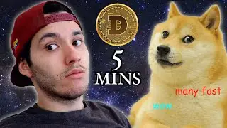 Learn Dogecoin in 5 minutes (MANY FAST!)