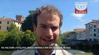 TAV, MALTAURO: &laquo;TUTELATO IL BOSCO LANEROSSI E NON SAN FELICE&raquo; | 18/08/2025