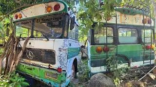 🤯 CLÁSICOS DEL RECUERDO: MERCEDES BENZ LP 1419 ⌛|| SIRENITA EXPRESS || ex RUTA 385 de EL TAMARINDO 🔥