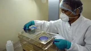 Video: India's battle against 'superbugs'