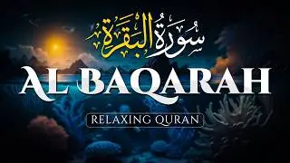 Surah Al Baqarah (سورة البقره), Beautiful Holy Quran Recitation - HUSSEIN ABDEL ZAHER