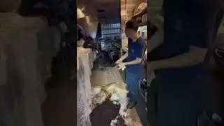Restaurant Grease Filters