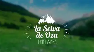 Time-lapse Selva de Oza