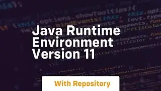 java runtime environment version 11