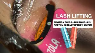 Tutorial Lash Lifting EMOTION COLOR LAB BROW&LASH PROTEIN RECONSTRUCTION SYSTEM, Zola