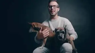 Top 10 Pet Cat and Dog Photography Tips 2019
