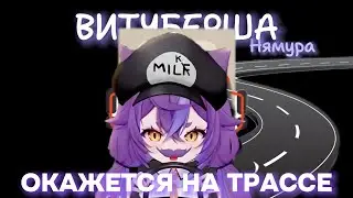 ВИТУБЕРШИ В ИТОГЕ ОКАЖУТСЯ НА ТРАССЕ(