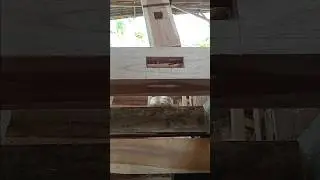 the way I insert the purus #shorts #fyp #virals #trending #wood #carpenter