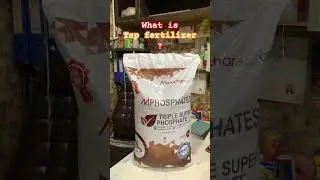 Tsp Triple Super phosphate best acidic phosphorus source for all crops & plants Manuchar fertilizer