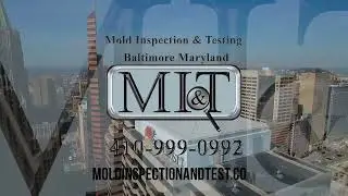 Mold Inspection & Testing Baltimore