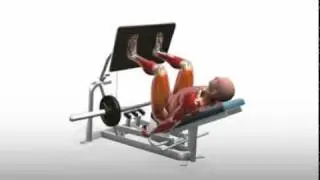 Bodybuilding &Uuml;bungen- 45-Degree Leg Press   -  www.Hilfe-Forum.eu