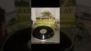 #beck #beckhansen #odelay #beckodelay #beckorale #cd #cassette #vinyl #vinylcollection #vinyllove