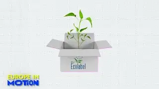 Какие страны ЕС лидируют в производстве устойчивых товаров?
