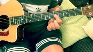 Muddy Waters Inspired Blues Lick-Acoustic Guitar Lesson.