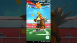 Entei Raid in 4 people
