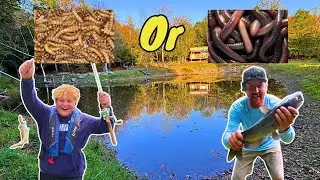Какой червь ловит больше ПРУДОВОЙ рыбы???